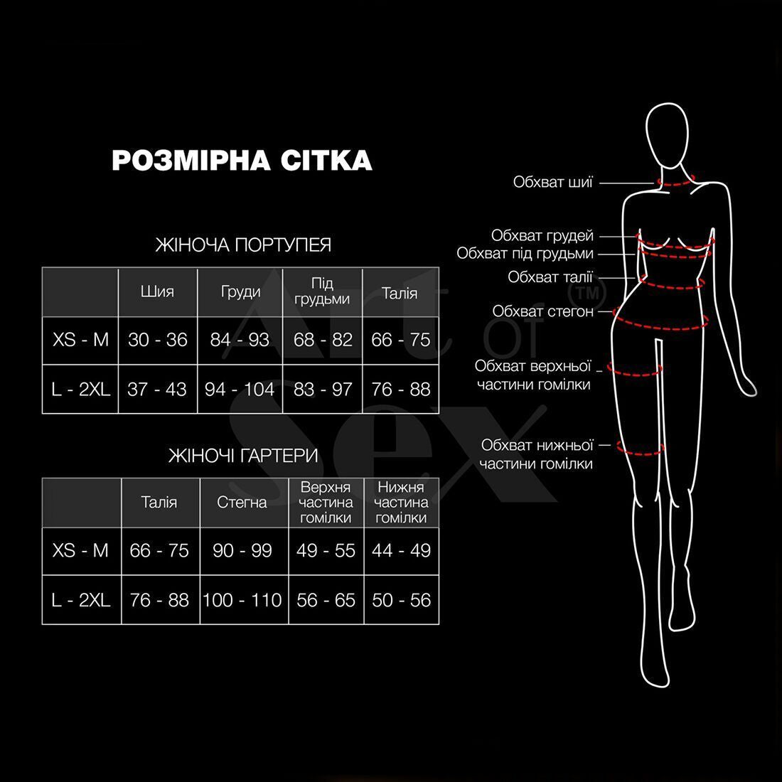 Набір портупея і трусики Art of Sex – Cross з натуральної шкіри з ланцюжками, чорний (XS-M) | (L-2XL)