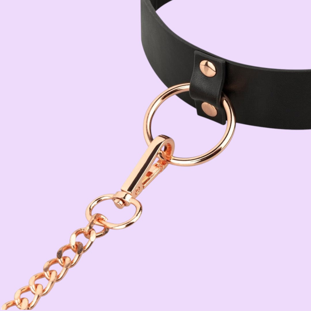 Нашийник з повідцем Rosy Gold