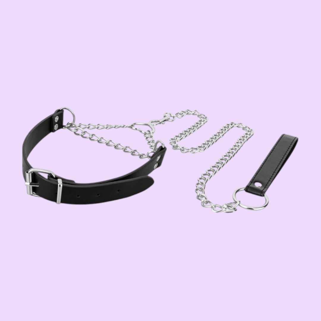 Нашийник з повідцем Bedroom Fantasies: Collar with Chain - Silver